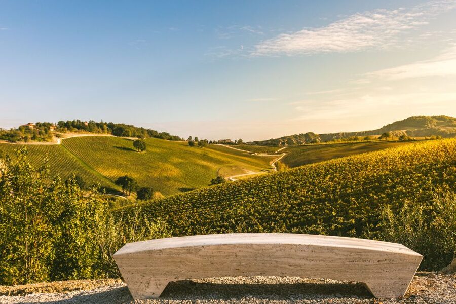 Bologna: Olive Grove and Vineyard Tour with Product Tastings - Key things to look forward to