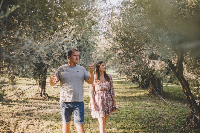 Buje: Authentic Istrian family farm, guided walk, foods & wine - Two hours on foot: what the pace feels like for small groups