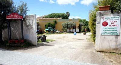 Cagliari Olive Oil Farm & Tasting (Since 1600, 20 Min Away) - Sa Mola de su notariu: stone mill, presses, and oil lamps