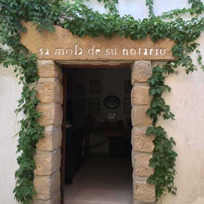 Cagliari Olive Oil Farm & Tasting (Since 1600, 20 Min Away) - The shopping moment: take home bottles with a real discount
