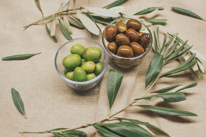 Cagliari: private tasting of fine extra virgin olive oil - Your Guide: Francesca’s Style of Service and Expertise