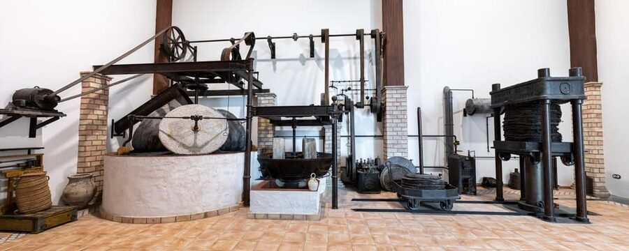 Cazorla: Oleotour - Olive Oil Culture Initiation - Regulatory Council Plus 18th-Century Oil Mill Museum