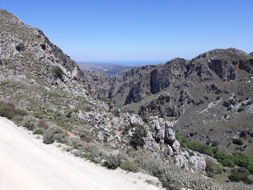 Chania: Milia Mountain Tour w/Lunch Olive Oil/Wine Tastings - Who This Tour Fits Best (and Who Should Think Twice)