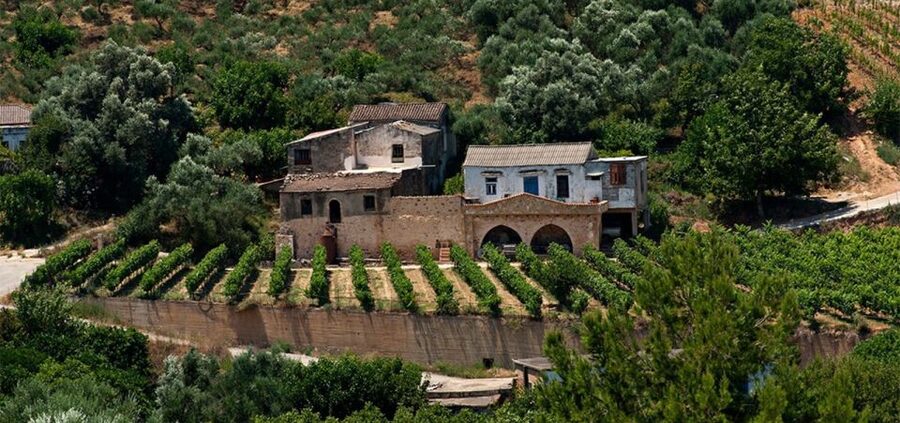 Chania: Milia Mountain Tour w/Lunch Olive Oil/Wine Tastings - The Dirt-Road Ride: Why Off-Roading Is the Point