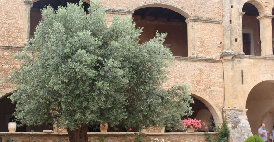 Chania Private Olive Oil Tour: Oil Tasting & Villages Tour - Bio factory, medieval mill talk, and what “grades” really mean