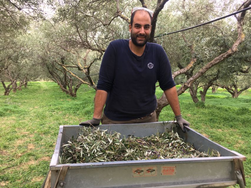 Chania Private Olive Oil Tour: Oil Tasting & Villages Tour - The 3000-year-old olive tree stop: seeing age you can measure