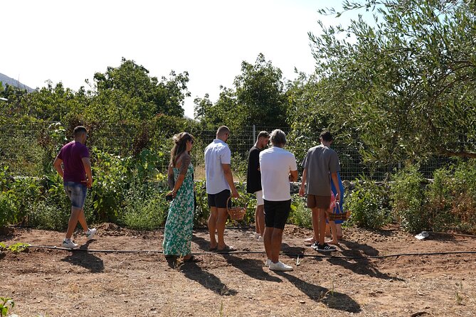 Chania Sourdough Bread Class - Olive Oil Tasting - Logistics that affect your day (the stuff worth planning)