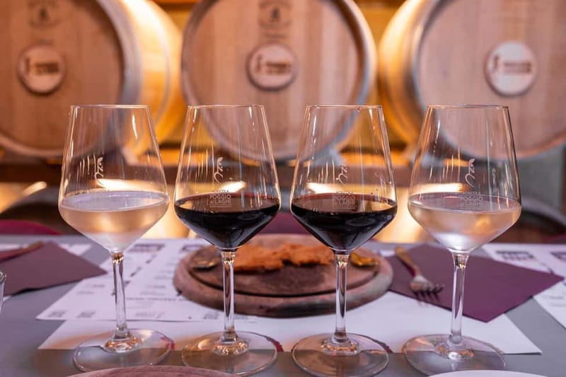 Chianti: Premium Wine, Olive Oil and Vinegar Tasting - Balsamic vinegar moments: Modena Gold and Lacrime Viola onion vinegar