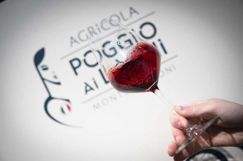 Chianti: Premium Wine, Olive Oil and Vinegar Tasting - Who should book (and who might skip this one)