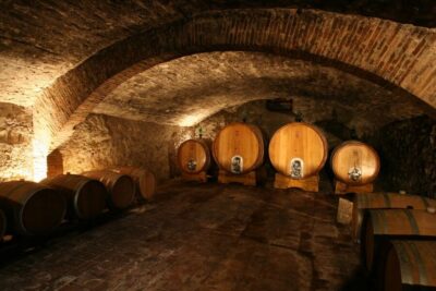 Chianti: Wine and Olive Oil Tasting with Cellar Tour - The big wine cellar: stainless tanks and cement fermentation