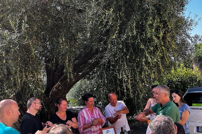 Cooking Classes and olive oil tasting.The real taste of Greece! - Value and timing: is $120.68 a good deal for this day?