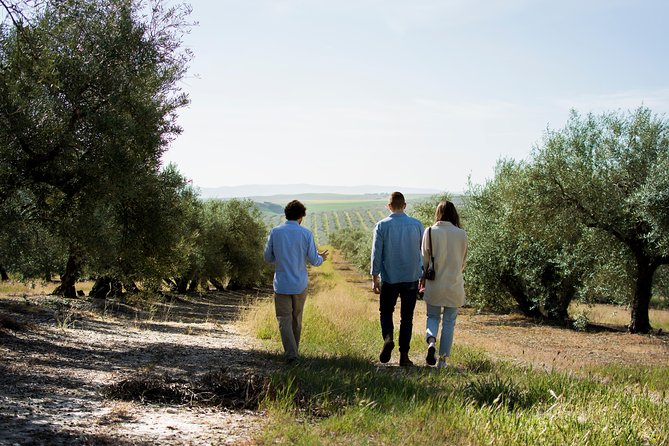 Cordoba Olive Oil mill, Wine, Passion - Key highlights worth your time
