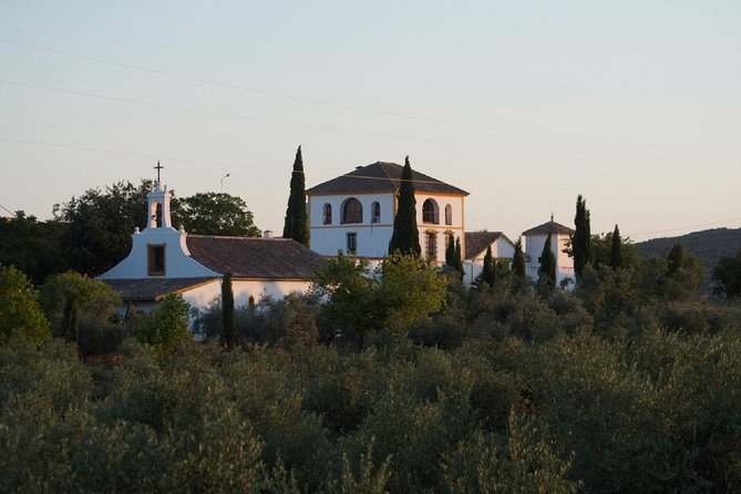 Cordoba Olive Oil mill, Wine, Passion - Getting From Córdoba Out to Villaviciosa (and Back)