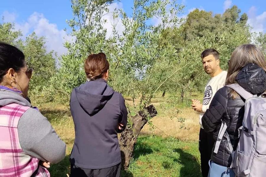 Córdoba: Visit a family organic olive grove with tasting - Entering Aceites Renacer: the 25-minute drive that changes your mood
