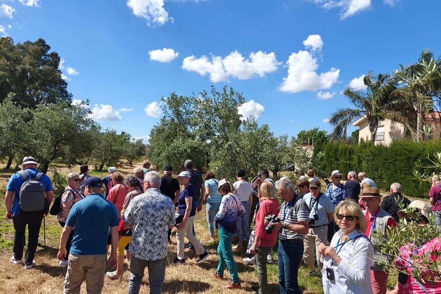 Córdoba: Visit a family organic olive grove with tasting - Touring an organic family grove with Adrián and his sustainable farming story