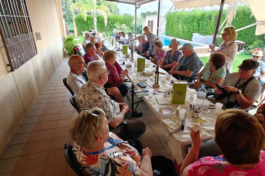 Córdoba: Visit a family organic olive grove with tasting - Bread, cheese, olives, and fruit: pairing that makes the oil taste better