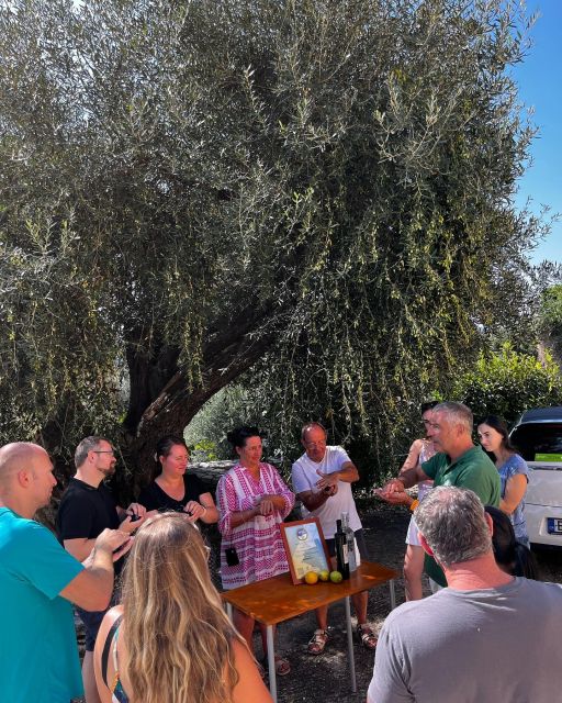 Corfu: Greek Cooking Class & Olive Oil Tasting - The olive grove walk and the 200-year-old olive press