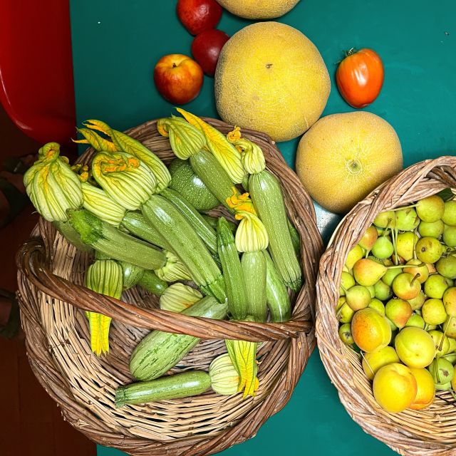 Corfu: Organic Olive Oil Farm Tour with Transfer and Tasting - Getting From Corfu Town or the Port Without Making It Complicated