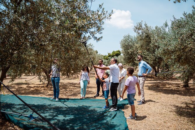 Corinth & Olive Oil Tasting Private Tour from Athens - Corinth Canal: the quick walk that frames the whole day