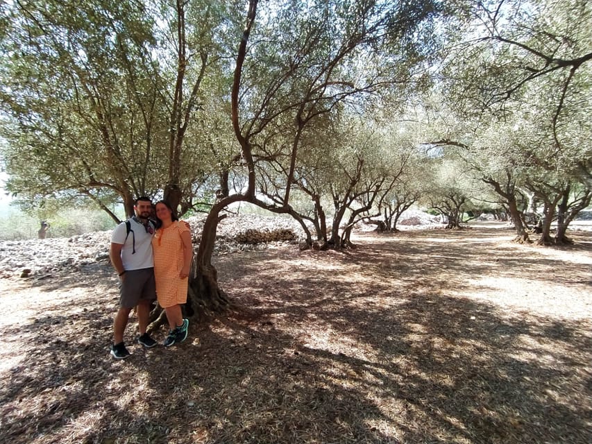 Cres: Olive Oil Walking Tour with Tastings - The olive oil mill stop: production you can see and smell
