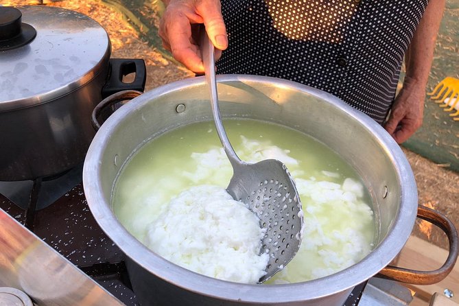 Cretan Farm Tour with Cheese-Making, Olive Oil Tasting & Picnic - Walking the Sustainable Olive Groves and Greenhouses