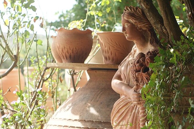 Cretan Wines & Olive oil tour - The treasures of Crete - Meleses Winery: Organic Cultivation and Five Cretan Wines