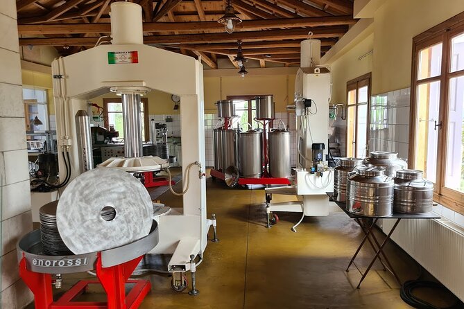 Crete Discovery Palace of Knossos, Wine and Olive Oil Experience - The driving and timing that make or break a day like this