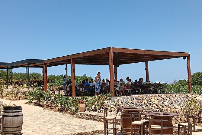 Crete Discovery Palace of Knossos, Wine and Olive Oil Experience - Price and value: what you’re really paying for