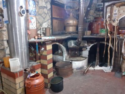 Crete: Full-Day Cretan Wines, Olive Oil, Raki and Food Tour - Skalani start: olive grove walking, olive mill viewing, fresh tasting
