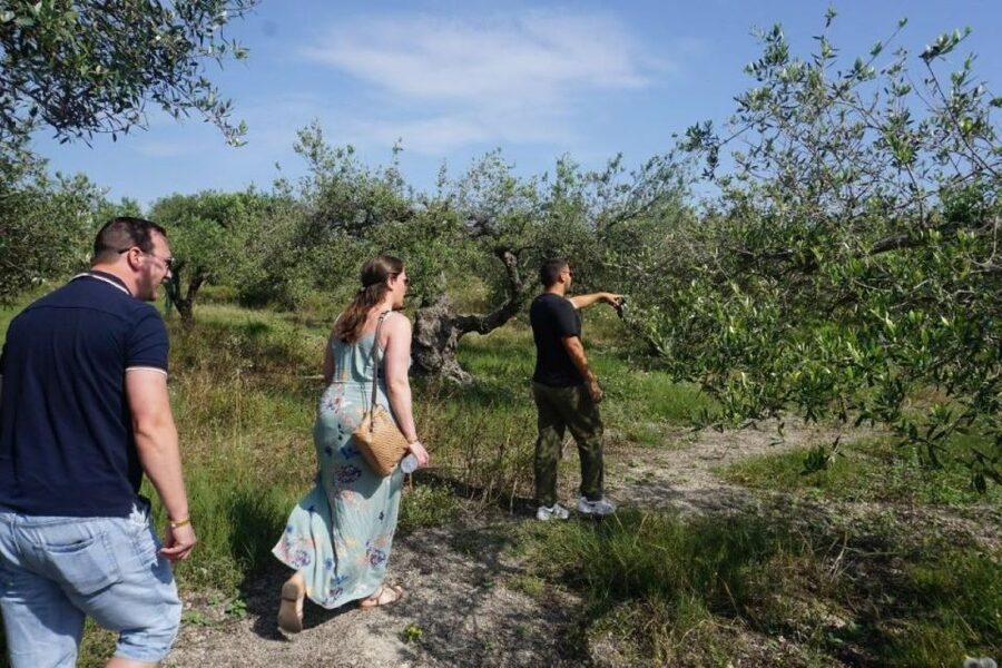 Crete: Full-Day Cretan Wines, Olive Oil, Raki and Food Tour - Raki distillery and the ancient wine press: why this stop is so memorable