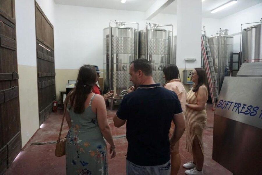 Crete: Full-Day Cretan Wines, Olive Oil, Raki and Food Tour - Price and value: what $141 buys you in real terms