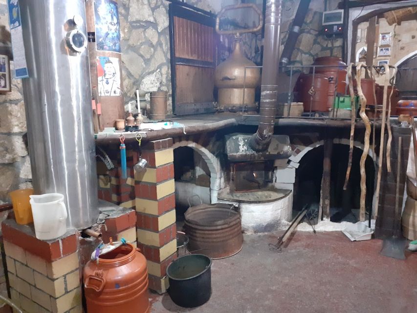 Crete: Full-Day Cretan Wines, Olive Oil, Raki and Food Tour - Skalani start: olive grove walking, olive mill viewing, fresh tasting