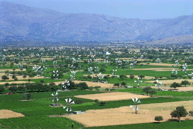 Crete in a Day: Knossos, Soap Workshops, Olive Oil & Wine Tasting - Should you book Crete in a Day: Knossos, Soap Workshops, Olive Oil & Wine Tasting?