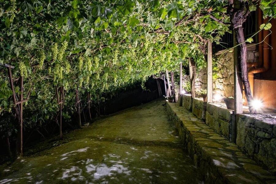 Crete: Jeep Safari Wine & Olive Oil testing Shepherd's House - Thrapsano wine stop and the real meaning of the tasting fee