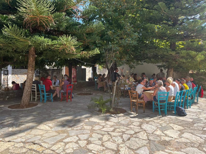 Crete: Jeep Safari Wine & Olive Oil testing Shepherd's House - Herb gathering, goats, and the view break you can’t schedule at home