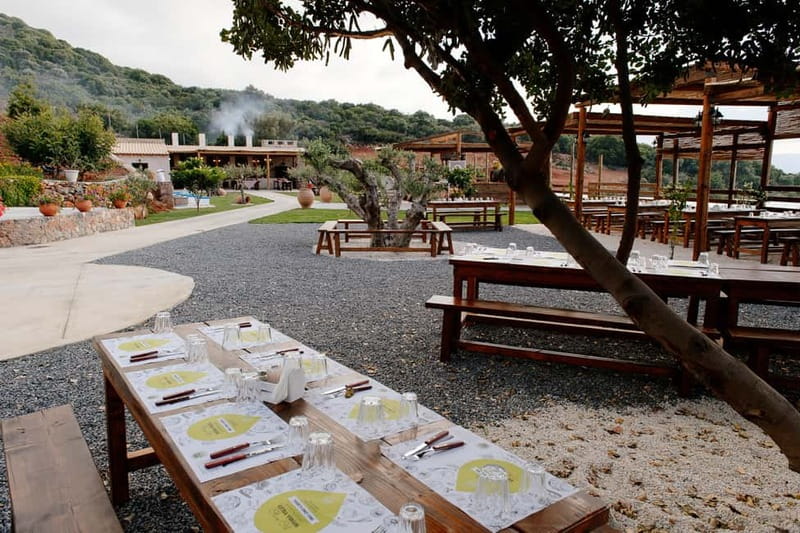 Crete: Knossos, Lasithi, Lasinthos and Olive Farm Combo Tour - Olive mill farm: how oil, soap, and honey are made