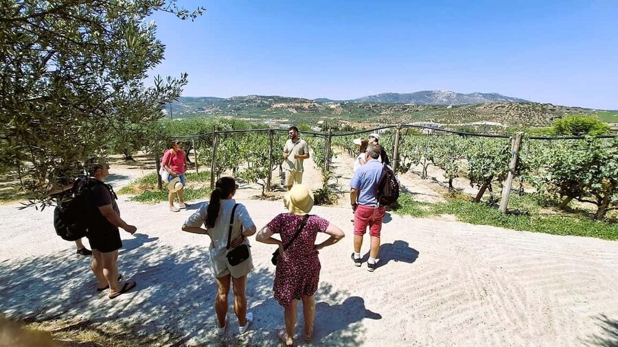 Crete: Knossos Palace, Winery & Olive Oil Tour with Lunch - Key Highlights You’ll Actually Feel