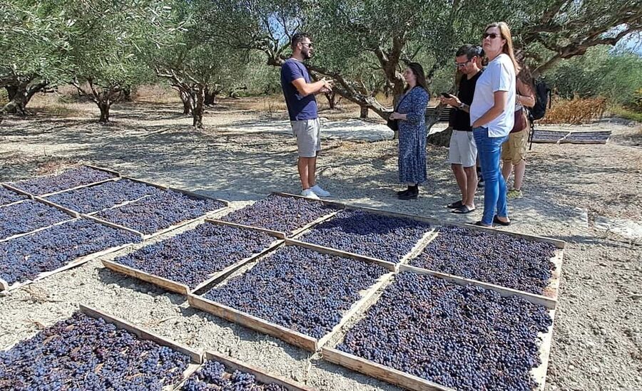 Crete: Knossos Palace, Winery & Olive Oil Tour with Lunch - Who This Tour Suits Best (and Who Should Rethink It)