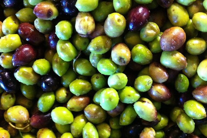 Crete: Olive Oil, Soap, Wine, Raki - Flavorful Culinary Journey - The lunch in Peza Village: where value becomes obvious