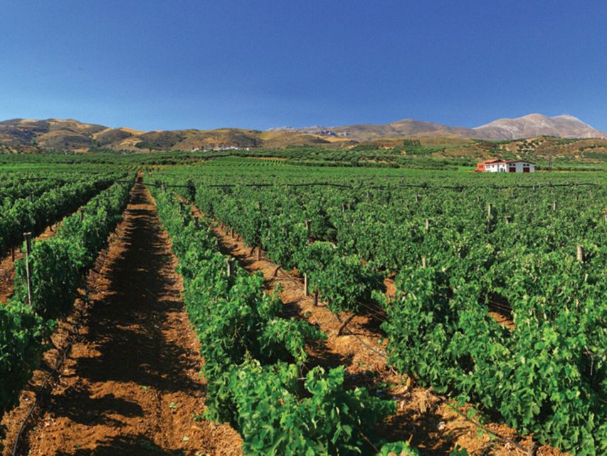 Crete Private Tour: The Secrets of Wine, Olives & Honey - Garazo village and the folk museum: real village texture in 20 minutes