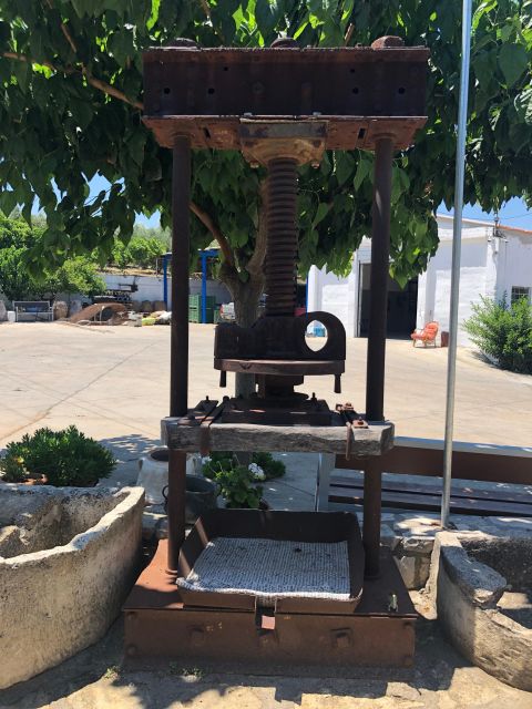 Crete Private Tour: The Secrets of Wine, Olives & Honey - Apithano Honey Factory: learning beekeeping before the tasting