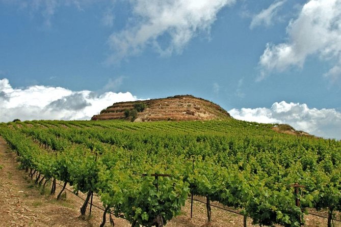 Crete Wine and Olive Oil Tour - Key highlights you’ll care about