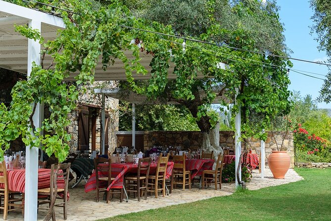 Crete Wine and Olive Oil Tour - What you actually taste: olive oil, multiple wines, and pairing snacks