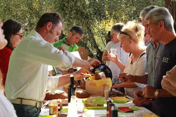 DA Abano and Montegrotto: Oil and Wine Tour of the Euganean Hills - Key highlights at a glance