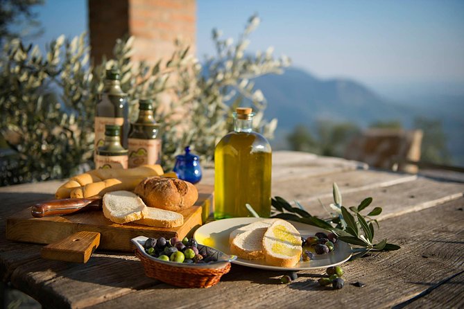 DA Abano and Montegrotto: Oil and Wine Tour of the Euganean Hills - Euganean Hills from Abano and Montegrotto: what makes this route special