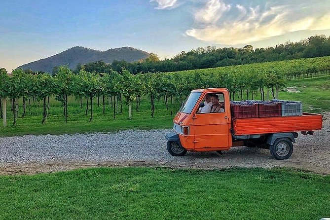 DA Abano and Montegrotto: Oil and Wine Tour of the Euganean Hills - Price and value: is $108.02 a good deal?