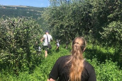 Discover DOP Olive Oil - The secret room where the oil is collected