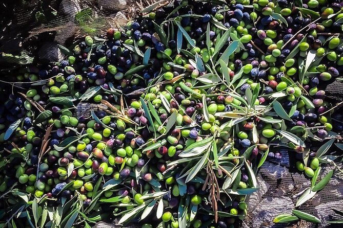 Discovering extra virgin olive oil - What you actually eat: bruschetta, cured meats, cheeses, and seafood