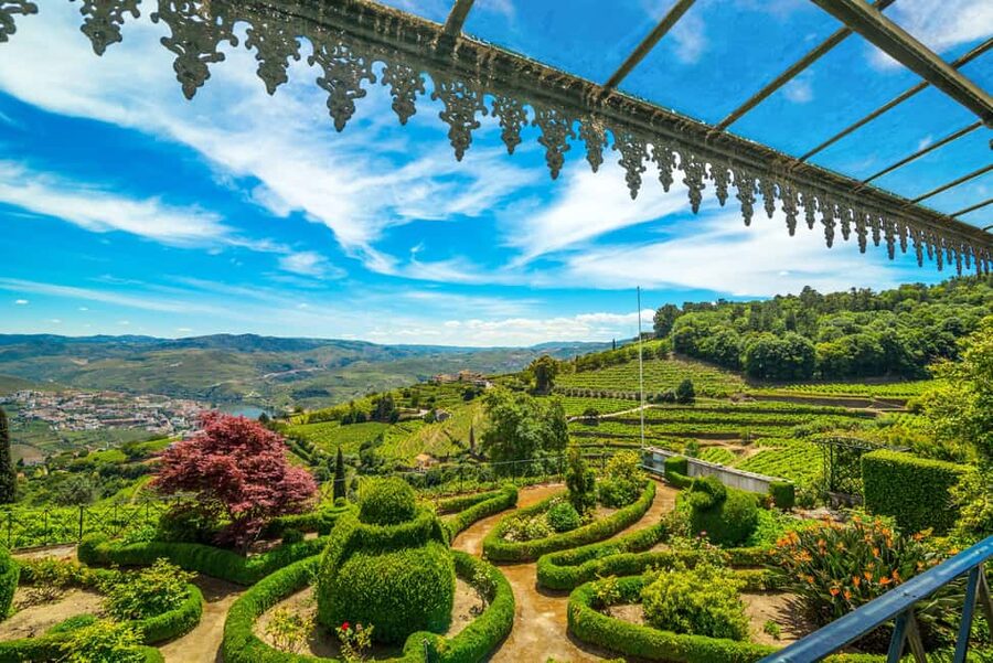 Douro Valley: A Sensory Experience in the Douro: Wines, Olive Oil, and History - Old country lanes and estate storytelling that makes the region make sense