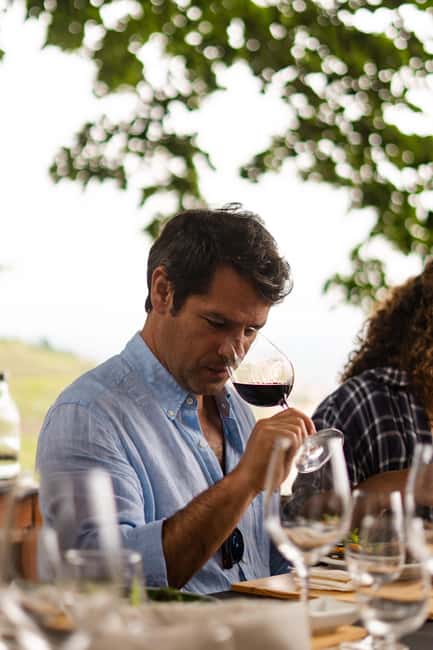 Douro Valley: A Sensory Experience in the Douro: Wines, Olive Oil, and History - Price and value: what $34 buys in the Douro